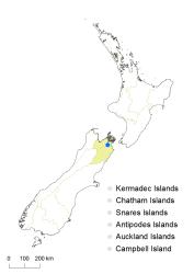 Hypericum montanum distribution map based on databased records at AK, CHR and WELT.
 Image: K. Boardman © Landcare Research 2014 